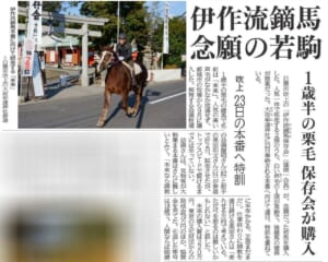R071121 南日本新聞2
